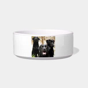 black lab group bowl