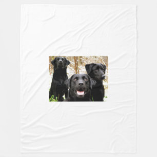 black lab group fleece blanket