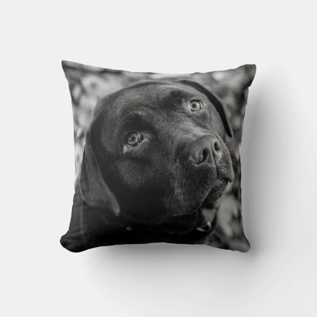 Black Lab - Heart of a Dog Cushion (Front)