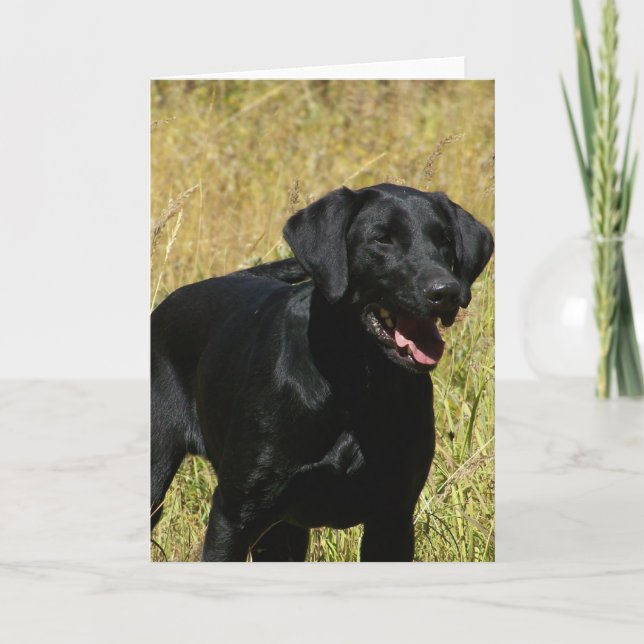 Black Lab in Field  Note Card (Front)