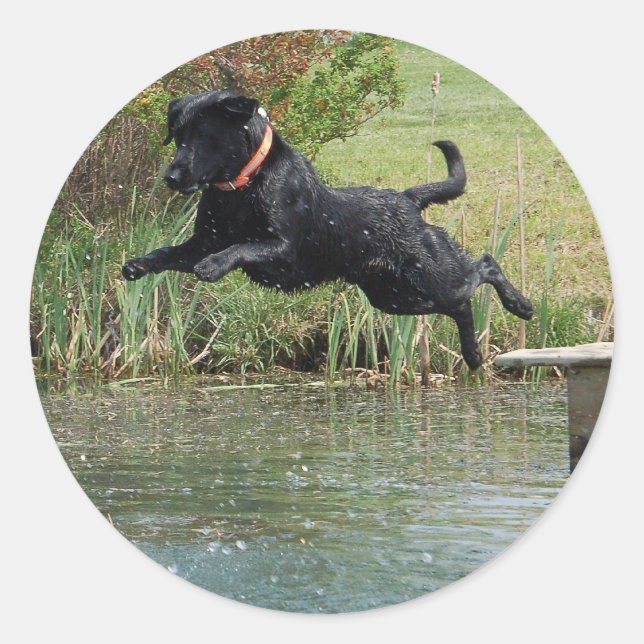 Black Lab Jumping Classic Round Sticker (Front)