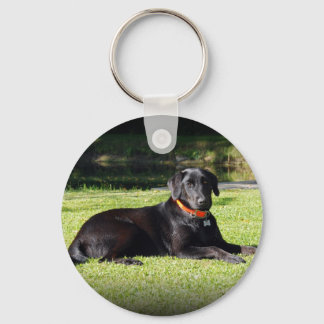 Black Lab Key Ring