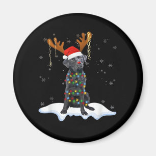Black Lab Labrador Christmas Tree Light Pajama Dog Magnet