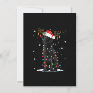 Black Lab Labrador Dog Christmas Lights Xmas Santa Invitation