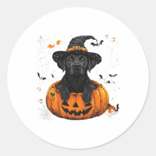 Black Lab Labrador Pumpkin Halloween Thanksgiving Classic Round Sticker