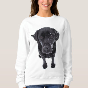 Black Lab - Labrador Snow Puppy Sweatshirt