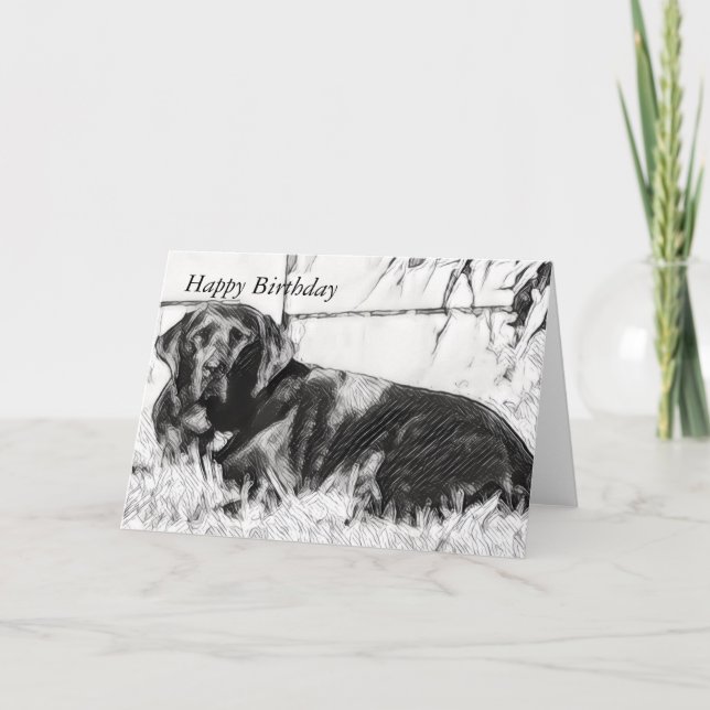 Black Lab Laying in the Sun  Birthday Card (Front)