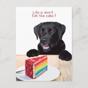 Black Lab- Life is short , eat the Cake - Labrador Postcard