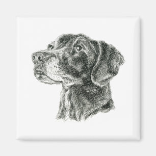 Black Lab Magnet