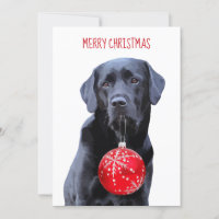 Black Lab Merry Christmas  - Cute Labrador Dog