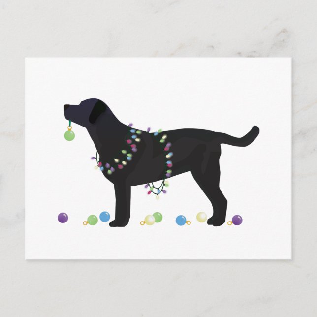 Black Lab Merry Christmas Design Holiday Postcard (Front)