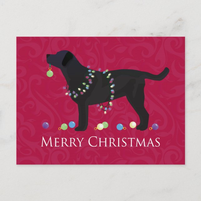 Black Lab Merry Christmas Design Holiday Postcard (Front)