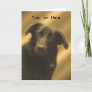 Black Lab Mix Cute Dog Card