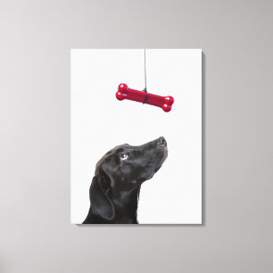 Black lab mixed dog with red dog bone canvas print