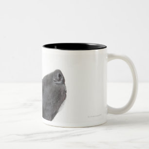 Black lab mixed dog with red dog bone Two-Tone coffee mug