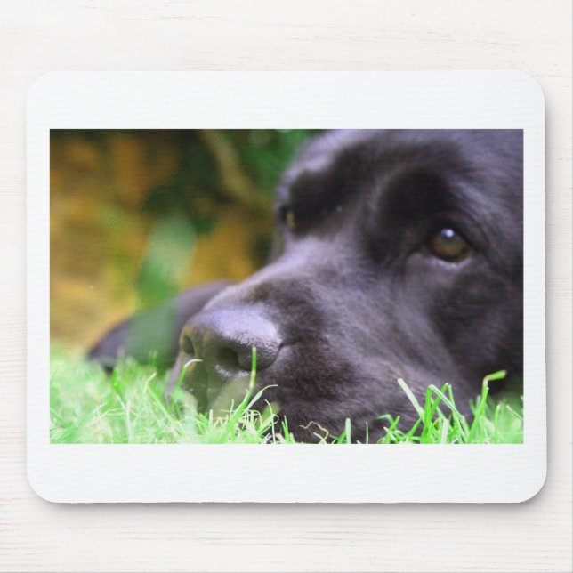 black lab mouse pad (Front)