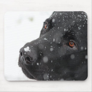 Black Lab  Mouse Pad