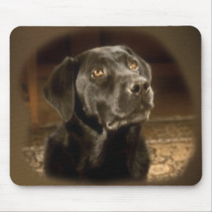Black Lab mouse pad