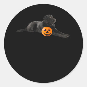 Black Lab Mutt Puppy Dog Halloween Pumpkin Jack O Classic Round Sticker