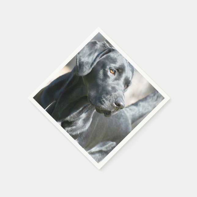 Black Lab Napkin (Corner)