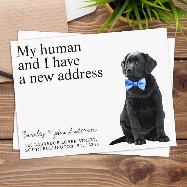 Black Lab New Address Dog Moving Announcement Post Postcard (Creator Uploaded)