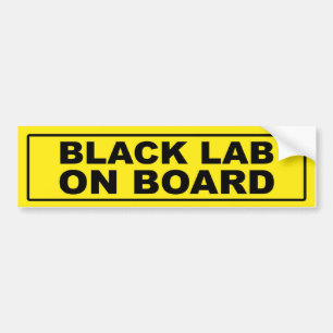 Black Lab on Board Bumper Sticker