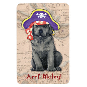Black Lab Pirate Magnet