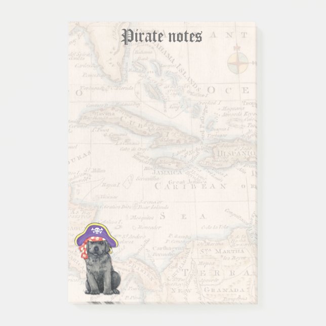 Black Lab Pirate Post-it Notes (Front)