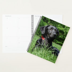 Black Lab Planner