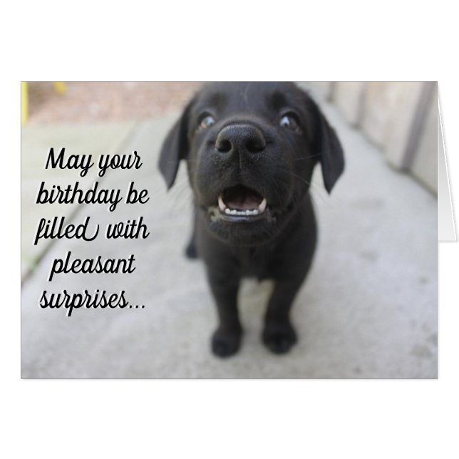 Black Lab "Pleasant Surprises" Birthday Card (Front Horizontal)