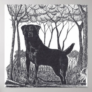 black lab poster
