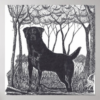 black lab poster