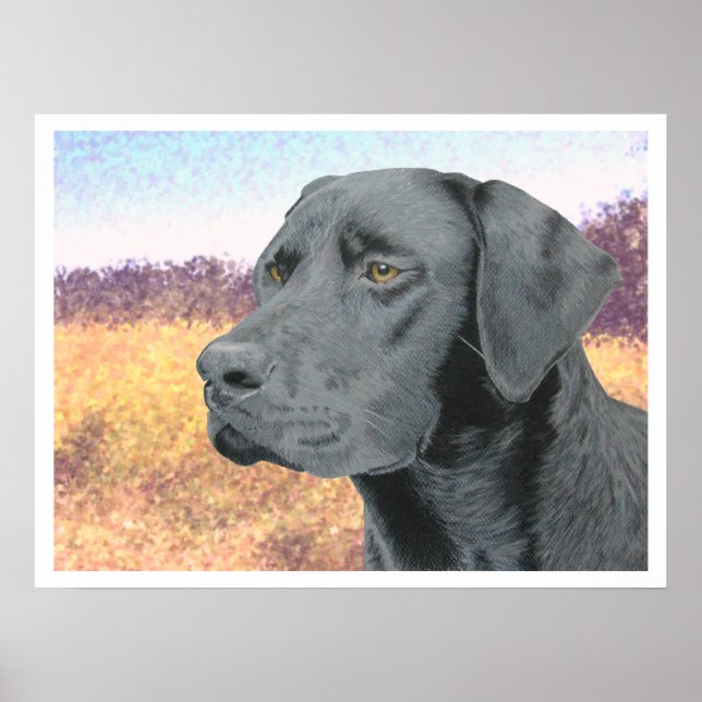 Black Lab Poster (Front)