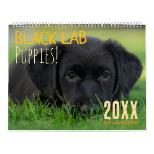 Black Lab Puppies Puppy Dog Labrador Calendar