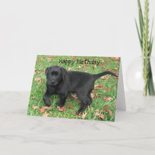 Black Lab Puppy Card