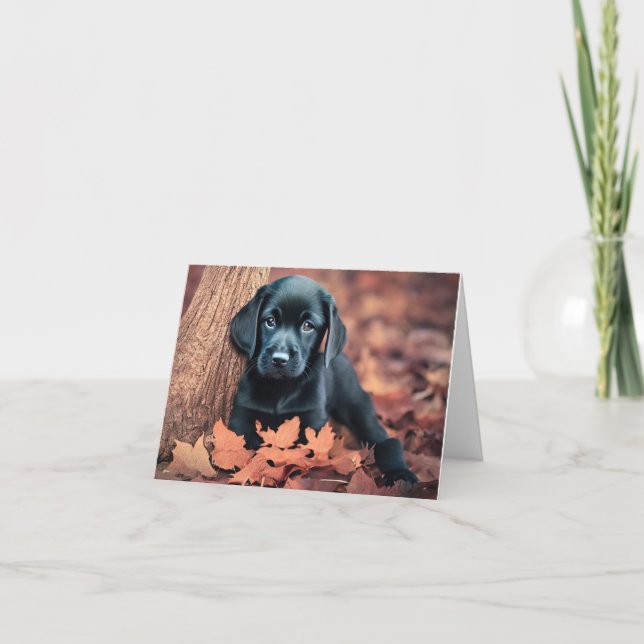 Black Lab Puppy Card (Front)