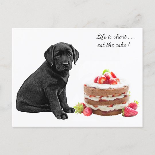 black labrador cake