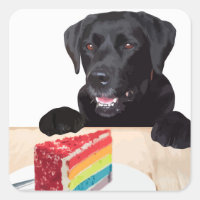 Black Lab Rainbow Cake Dog Birthday Party