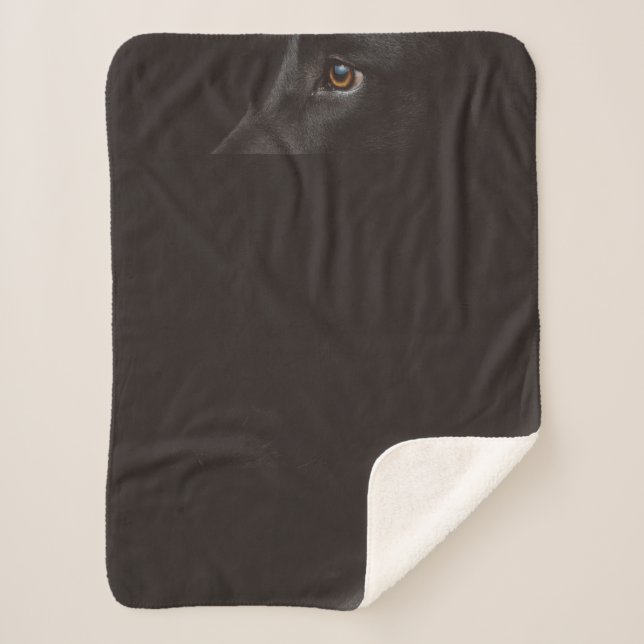 black lab sherpa blanket (Front)