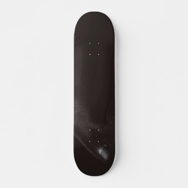 black lab skateboard (Front)
