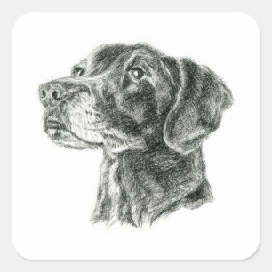 Black Lab Square Sticker