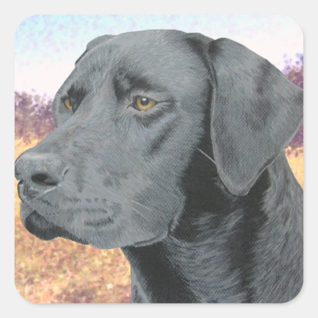 Black Lab Square Sticker (Front)
