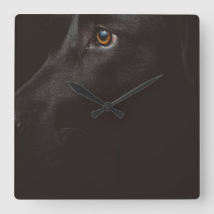 black lab square wall clock