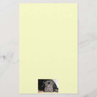 Black Lab Stationary Stationery