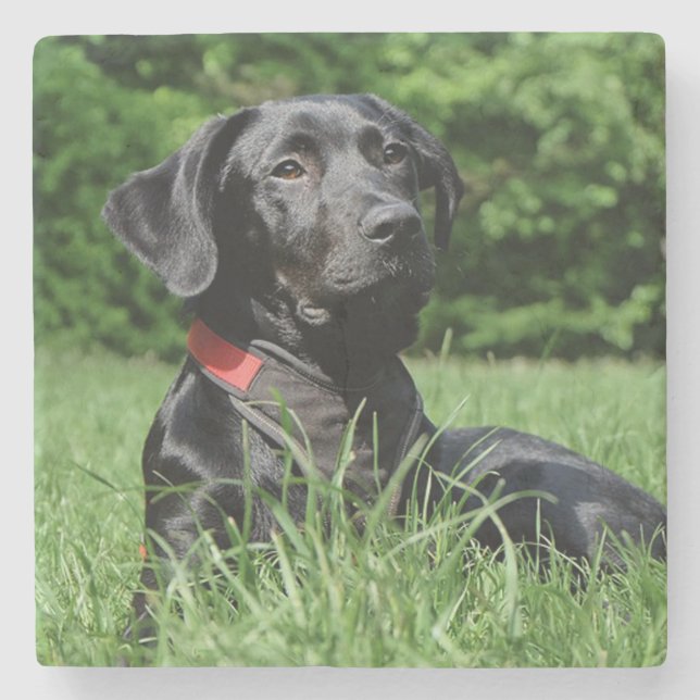 Black Lab Stone Coaster (Front)