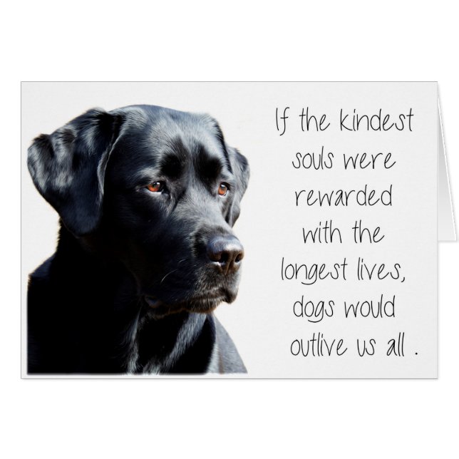 Black Lab Sympathy Card - Dog Sympathy - Pet Loss (Front Horizontal)