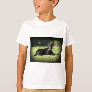 Black Lab T-Shirt