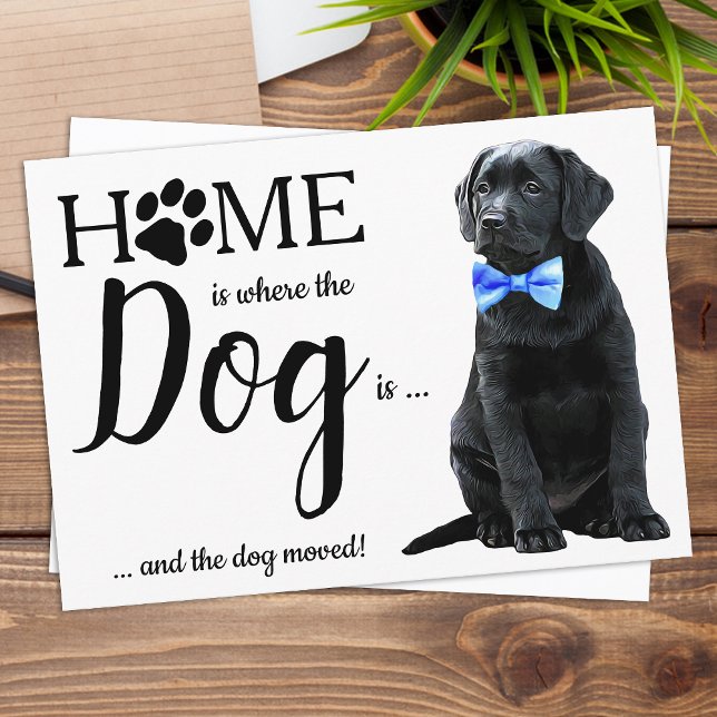 Black Lab We've Moved Dog Moving Announcement Post Postcard (Creator Uploaded)
