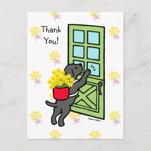 Black Lab with Daffodils Postcard