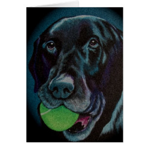 black lab with tennis ball